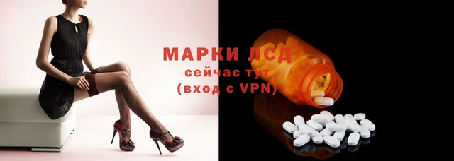 СК Аркадак