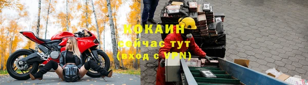 СК Аркадак