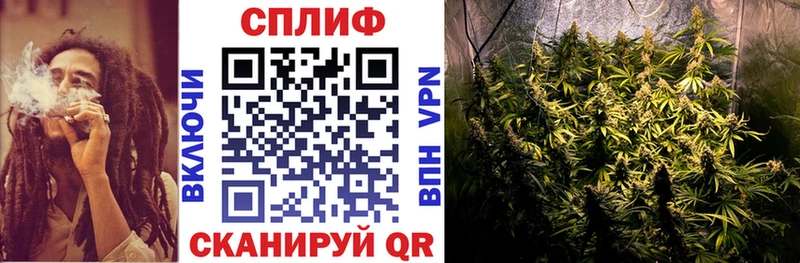 Каннабис MAZAR  Купить закладки  Славгород 